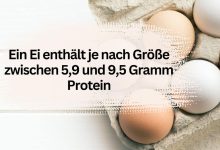 Photo of Eiweißgehalt Ei: Wieviel Protein hat ein Ei?