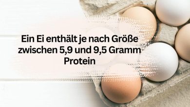 Photo of Eiweißgehalt Ei: Wieviel Protein hat ein Ei?