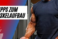 Photo of 6 Tipps fÃ¼r Muskelaufbau und -erhalt